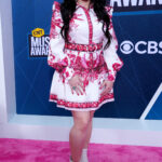 2022 CMT Music Awards – Red Carpet